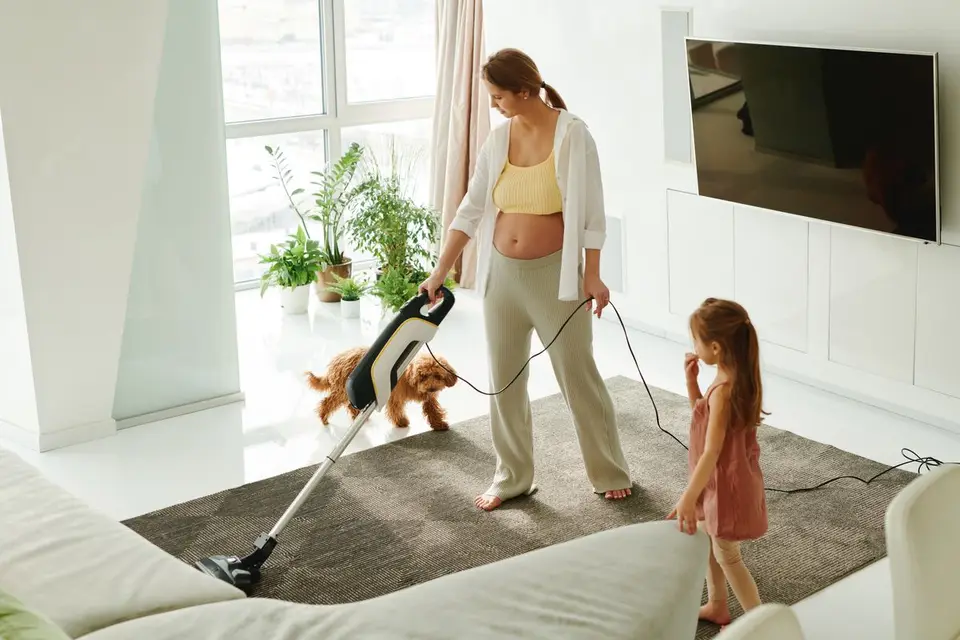 Aspiradora escoba sin cable para pelo de mascota