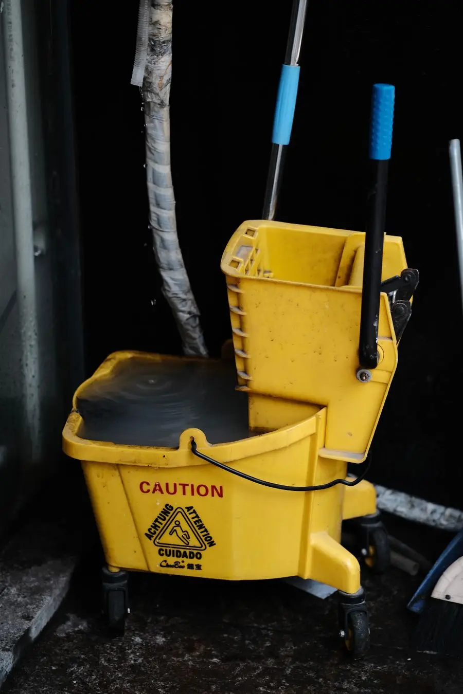 Cómo elegir una fregona y cubo con escurridor